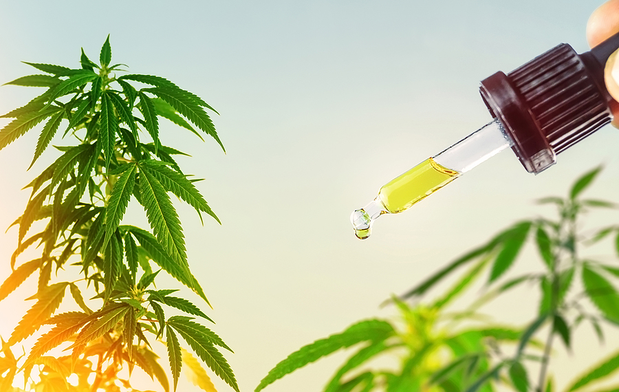 What Are the Main Cannabinoids in Full-Spectrum CBD Oil?