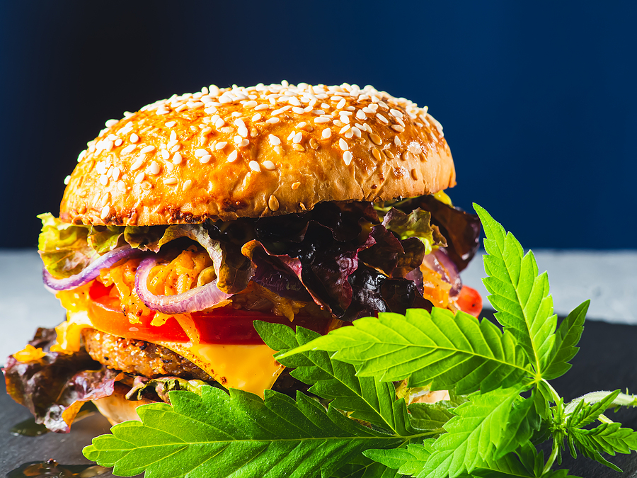DOES CBD OIL MAKE YOU HUNGRY?